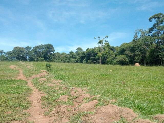 #697 - Terreno Rural para Venda em Congonhal - MG - 3