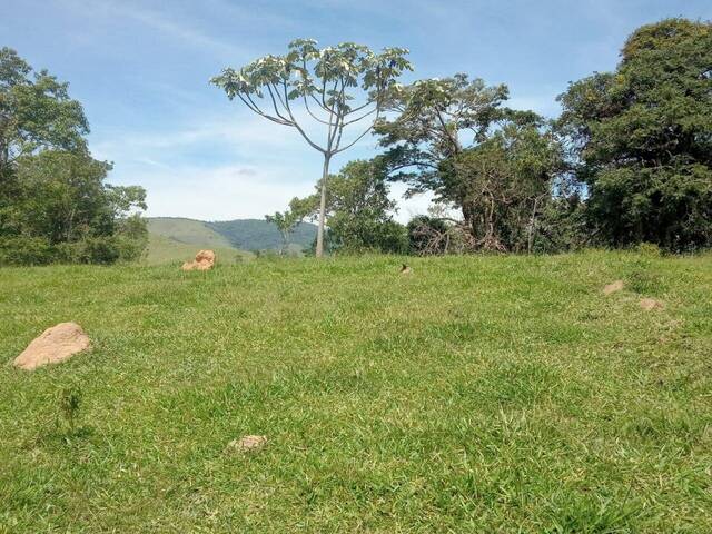 #697 - Terreno Rural para Venda em Congonhal - MG - 1