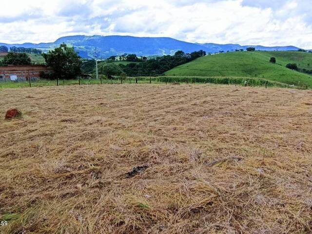 Venda em Bairro Dos Coutinhos - Congonhal