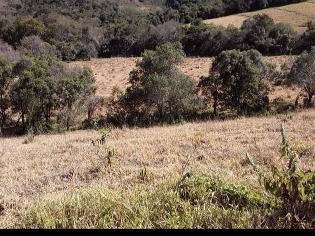 #841 - Terreno Rural para Venda em Cambuí - MG - 3