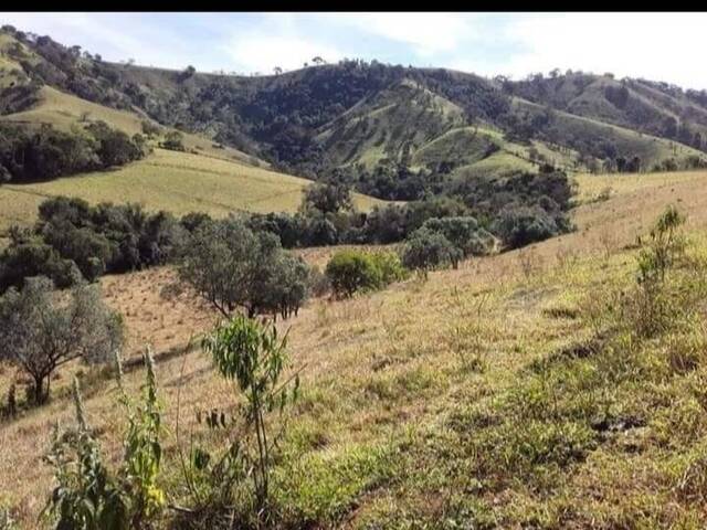 Venda em Rio Do Peixe - Cambuí