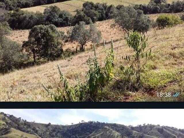 #841 - Terreno Rural para Venda em Cambuí - MG - 2