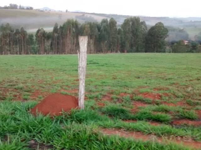 #995 - Terreno para Venda em Pouso Alegre - MG