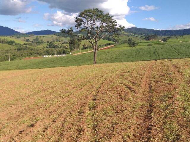 #1093 - Terreno Rural para Venda em Pouso Alegre - MG - 1