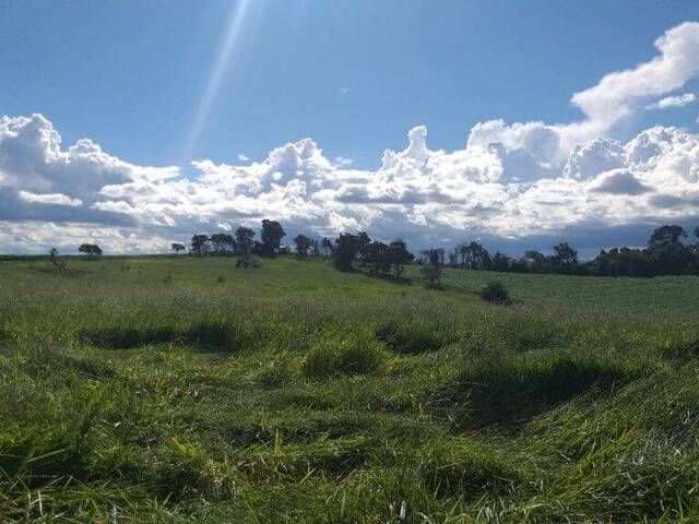 #1093 - Terreno Rural para Venda em Pouso Alegre - MG - 3