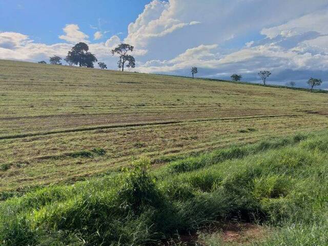 #1093 - Terreno Rural para Venda em Pouso Alegre - MG - 2