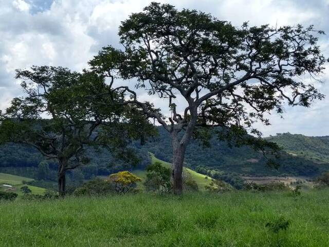 #1210 - Terreno Rural para Venda em Poço Fundo - MG - 1