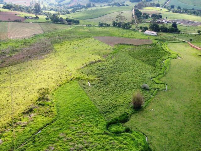 Venda em Quintilhano - Congonhal