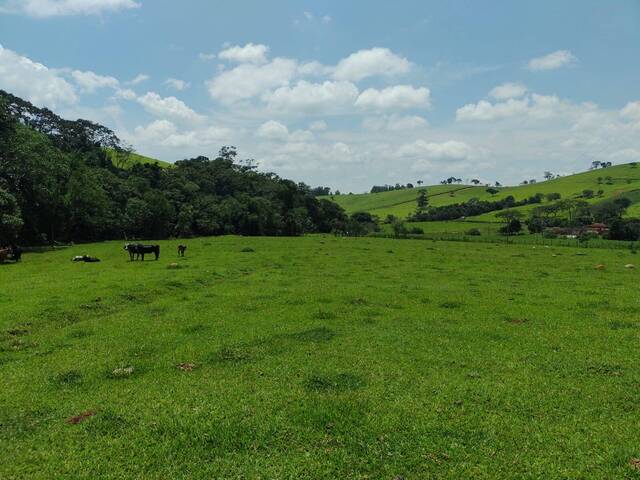 #1376 - Terreno para Venda em Congonhal - MG - 2