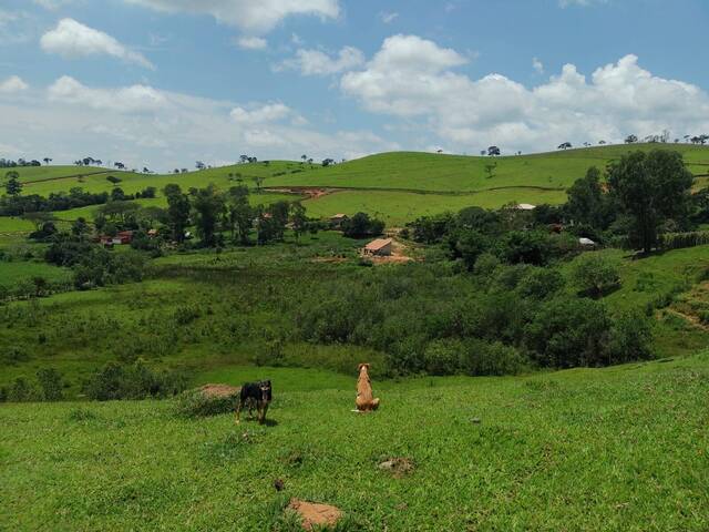 #1376 - Terreno para Venda em Congonhal - MG - 3