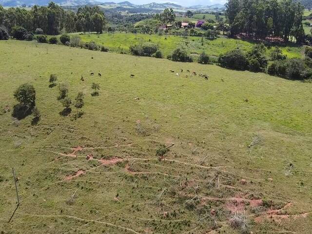 #1381 - Terreno Rural para Venda em Pouso Alegre - MG - 2