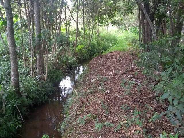 #1396 - Terreno Rural para Venda em São Sebastião da Bela Vista - MG - 2