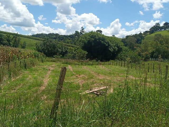 #1476 - Terreno Rural para Venda em Congonhal - MG - 3