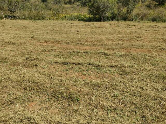 #1574 - Terreno Rural para Venda em Silvianópolis - MG - 2