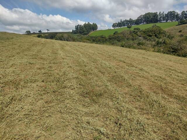 #1574 - Terreno Rural para Venda em Silvianópolis - MG - 3