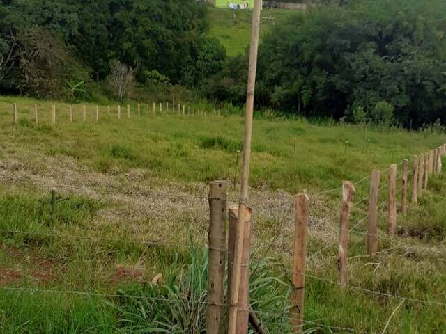 #1729 - Terreno Rural para Venda em Pouso Alegre - MG - 2