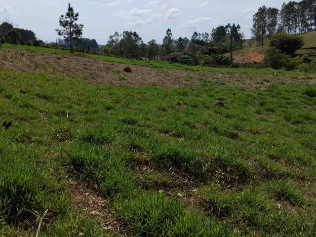 #1837 - Terreno para Venda em Careaçu - MG - 3