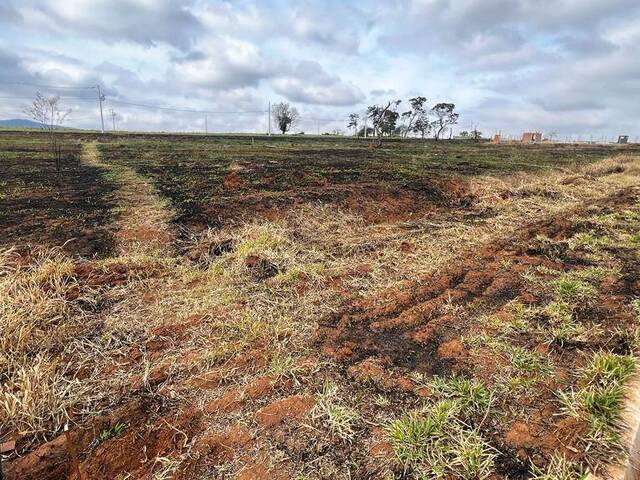 #1874 - Terreno para Venda em São Sebastião da Bela Vista - MG - 2