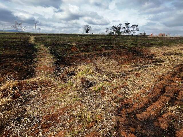 #1874 - Terreno para Venda em São Sebastião da Bela Vista - MG - 3