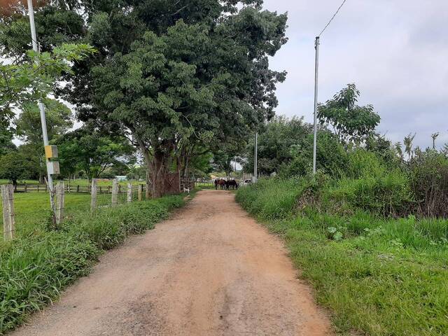 #1986 - Chácara para Venda em São Sebastião da Bela Vista - MG - 3