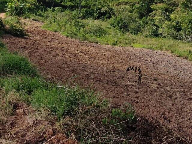 #2050 - Terreno Rural para Venda em Senador José Bento - MG - 2