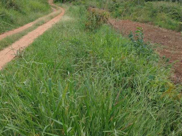 #2050 - Terreno Rural para Venda em Senador José Bento - MG - 1