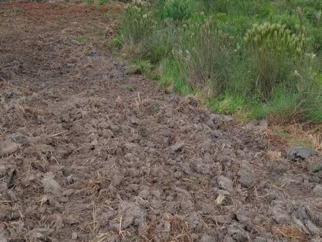 #2050 - Terreno Rural para Venda em Senador José Bento - MG - 3