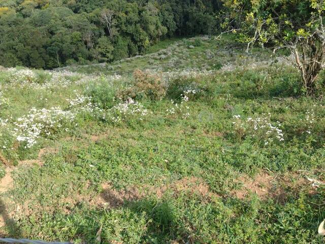 #2112 - Terreno Rural para Venda em Congonhal - MG - 2