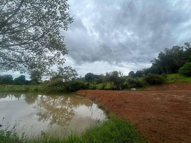 #2203 - Terreno Rural para Venda em Bueno Brandão - MG - 3