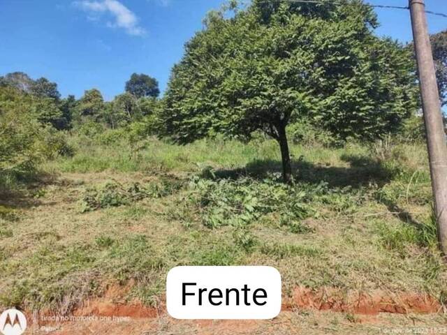 #2243 - Terreno Rural para Venda em Pouso Alegre - MG - 2