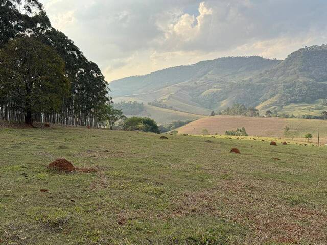 Venda em Quintilhano - Congonhal