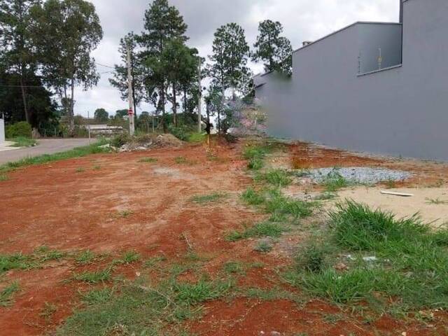 #2417 - Terreno para Venda em Pouso Alegre - MG - 1