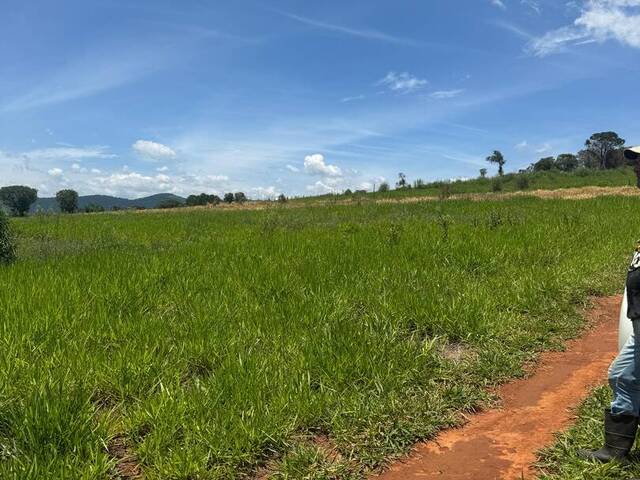 Venda em ANHUMAS - Pouso Alegre