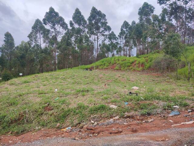 Venda em Curralinho - Pouso Alegre